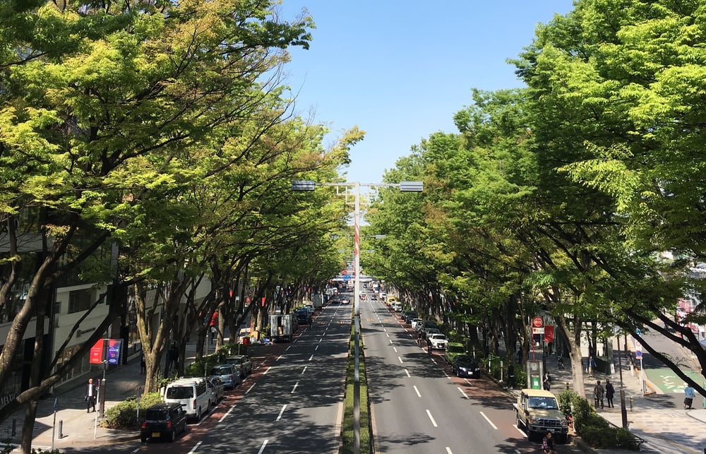 omotesandou-1