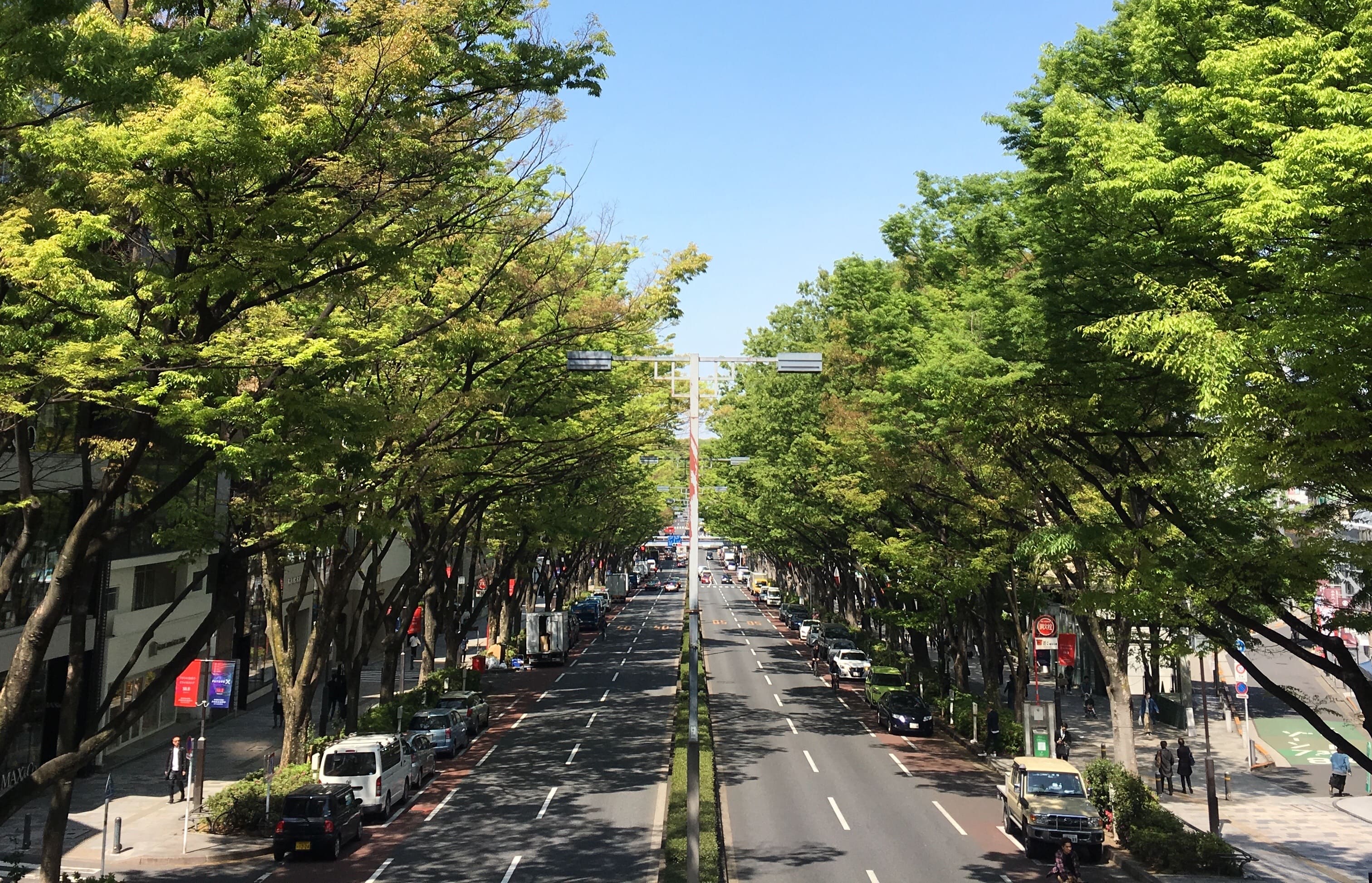 omotesandou-1